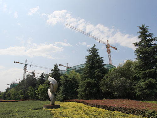 湖南大力建设机械工程股份有限公司,塔式起重机,施工升降机,物料升降机哪里好,大力建设