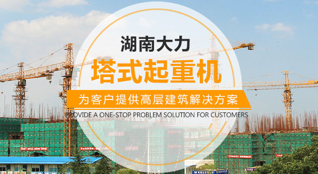 湖南大力建设机械工程股份有限公司_塔式起重机|施工升降机|物料升降机哪里好|大力建设